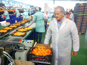 Frutta ritirata dal mercato in Spagna