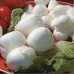 mozzarella-di-bufala-infoitaliaspagna