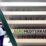 Agromediterranea