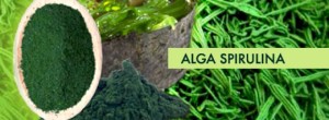 alga-spirulina-820x300