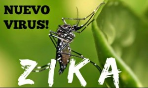 Il_virus_Zika_anche_in_Italia_e_Spagna