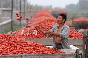 pomodoro-cinese