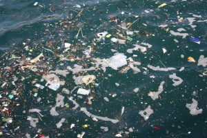 Il_progetto_Plastic_Busters_per_un_Mediterraneo_libero_dai_rifiuti