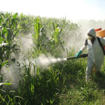 Bonifica_pesticidi_in_Aragona_con_fondi_europei