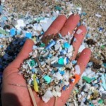 Togliere_le_ microplastiche_dai_prodotti_cosmetici:_campagna_sulla_Vespucci