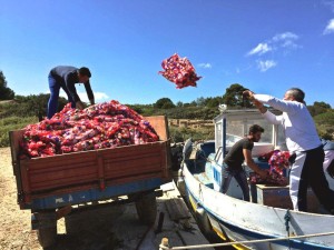 Qui sopra e in alto, il trasporto della plastica per realizzare "Help"