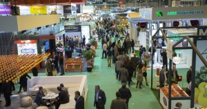 L’area_Italia_all_8ª_Edizione_di_Fruit_Attraction